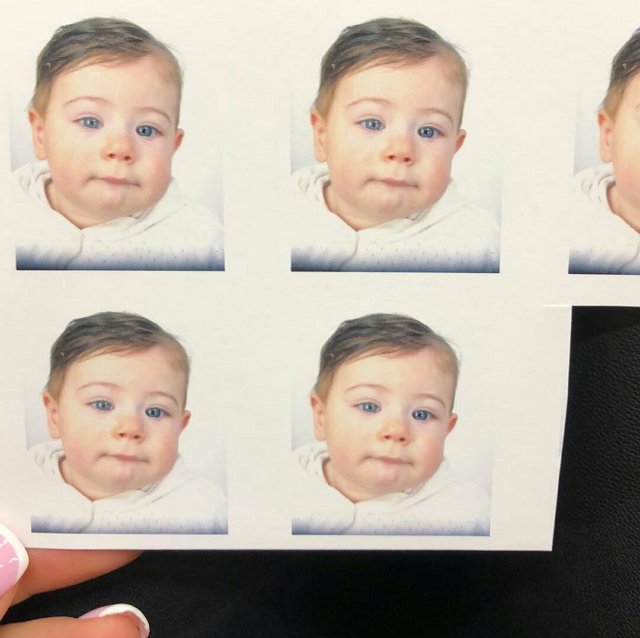 Семейство Блюменкранц мигрирует?