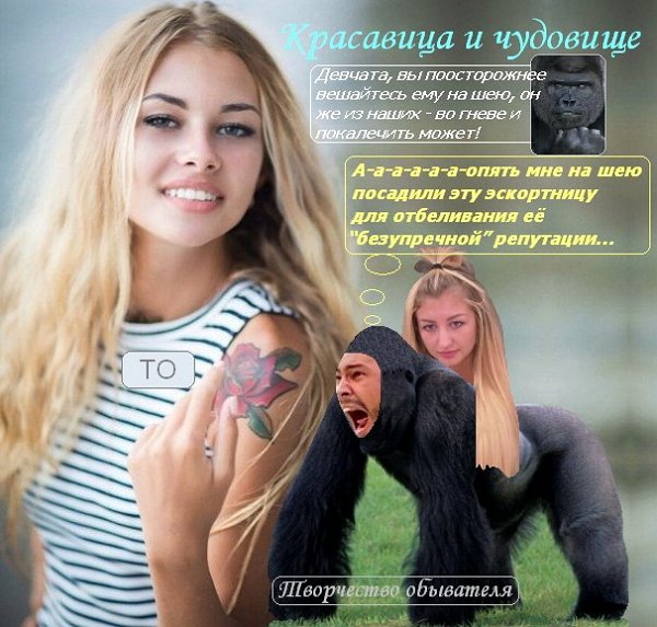 Приколы о Дом-2 (2.02.2018)