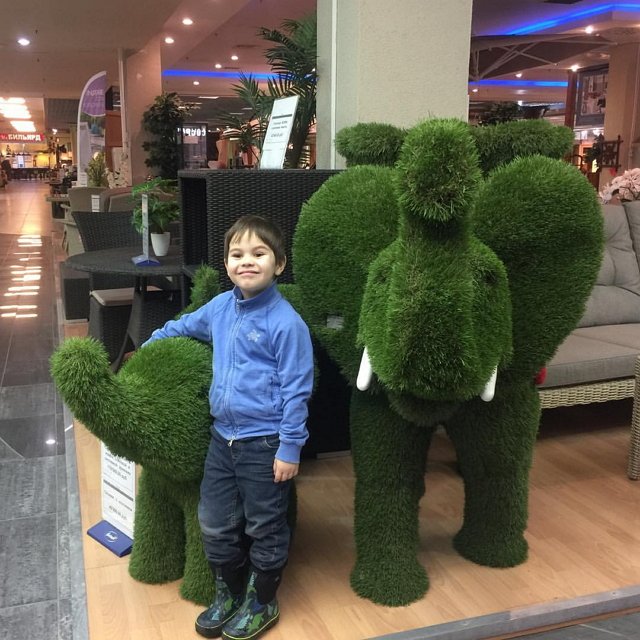 Фотоподборка детей участников (2.02.2018)