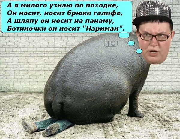 Приколы о Дом-2 (9.02.2018)