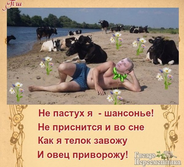 Приколы о Дом-2 (12.02.2018)