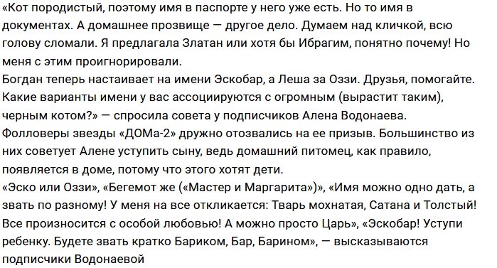 Дом Алены Водонаевой пополнится новым жильцом