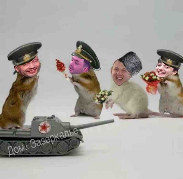 Стихи о Дом-2 на 24.02.2018