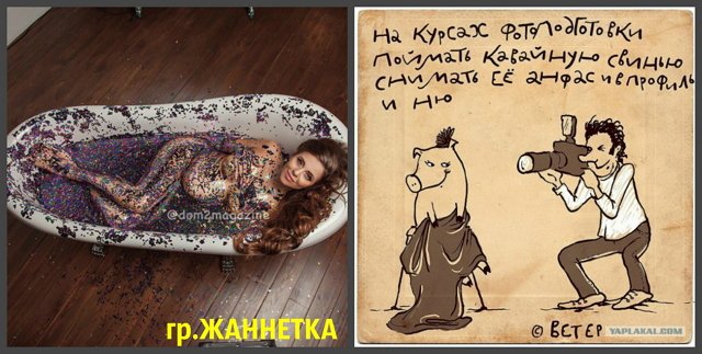 Приколы о Дом-2 (25.02.2018)