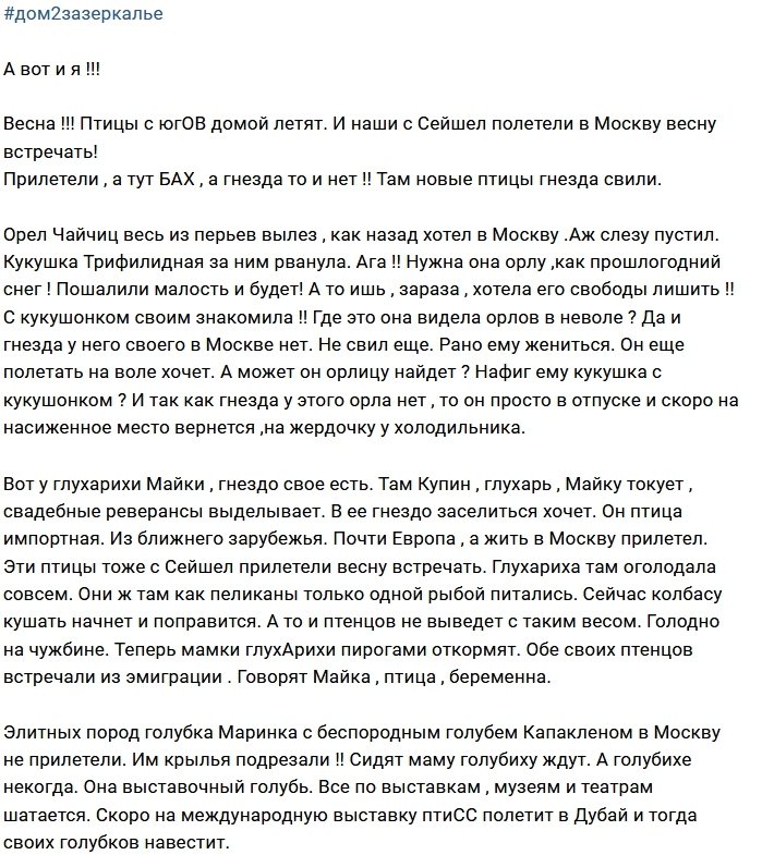 Мнение: Птицы с Сейшел вьют гнезда на поляне