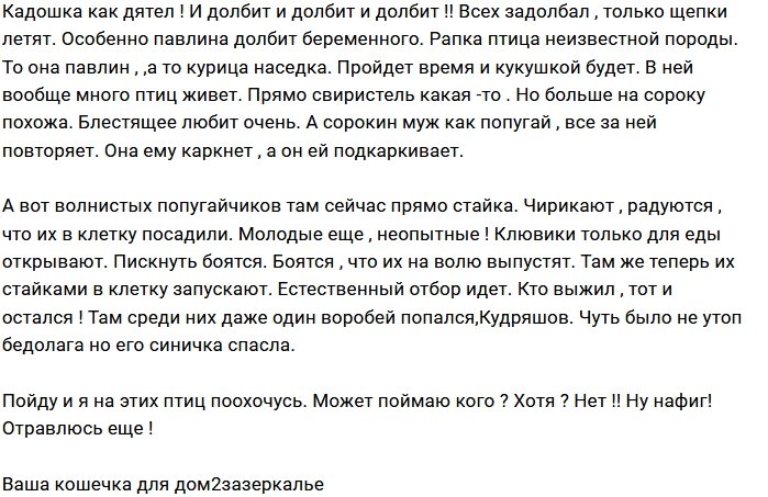 Мнение: Птицы с Сейшел вьют гнезда на поляне