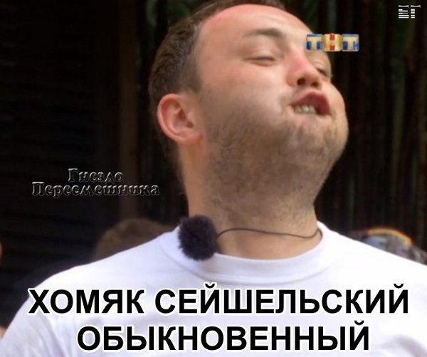 Приколы о Дом-2 (8.03.2018)