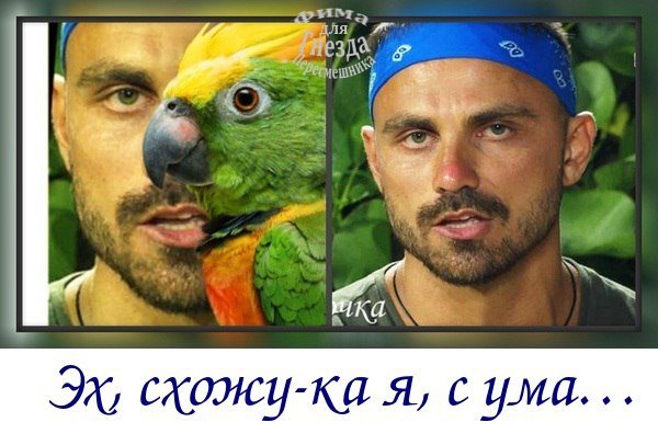 Приколы о Дом-2 (10.03.2018)