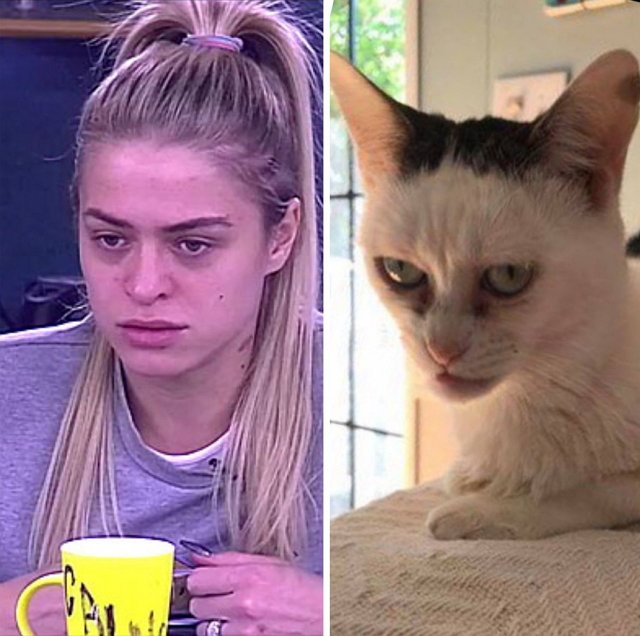 Приколы о Дом-2 (12.03.2018)