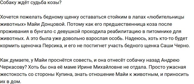 Мнение: Что ждет собаку Донцовой?