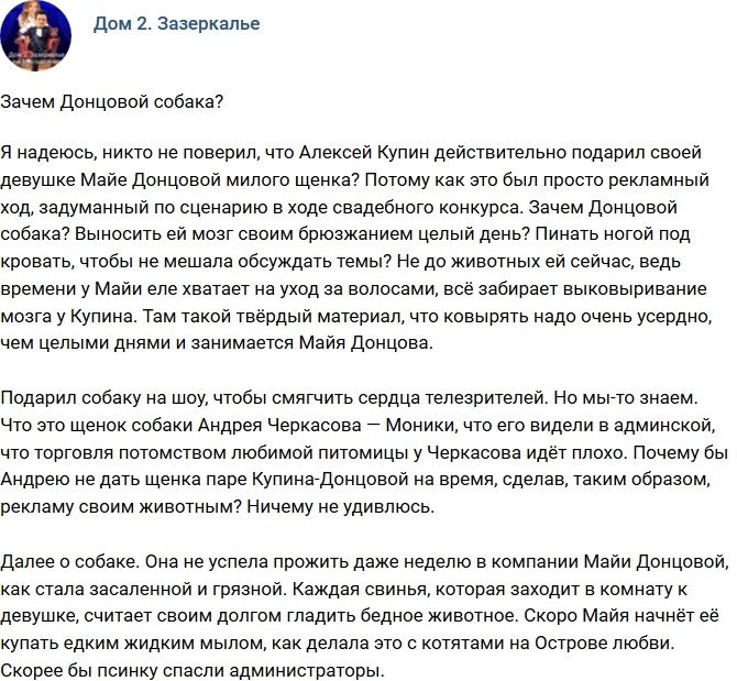 Мнение: Что ждет собаку Донцовой?