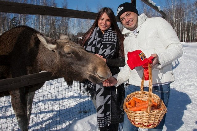 Из блога Редакции: У телешоу появилась своя лосиха!
