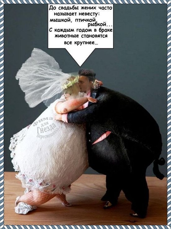 Приколы о Дом-2 (20.03.2018)