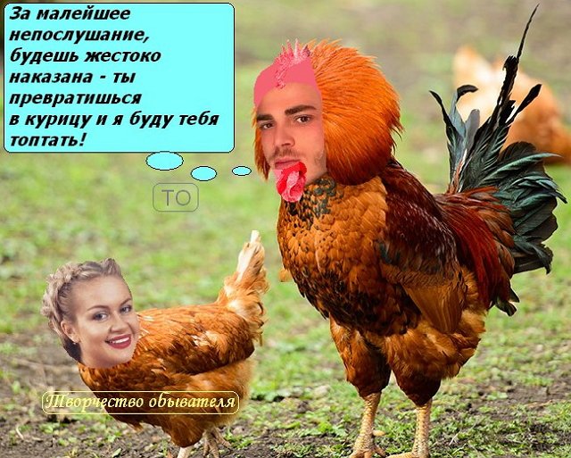 Стихи о Дом-2 на 3.05.2018