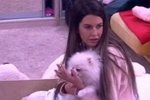 Мнение: Кому достанется собака Донцовой?