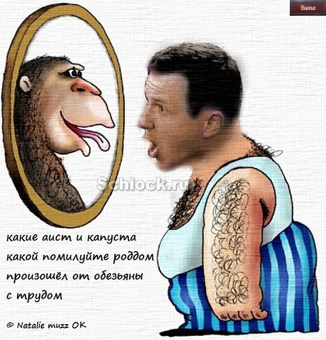 Приколы о Дом-2 (9.05.2018)