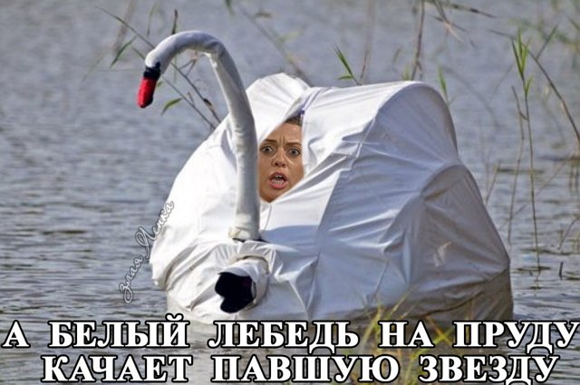 Приколы о Дом-2 (13.05.2018)