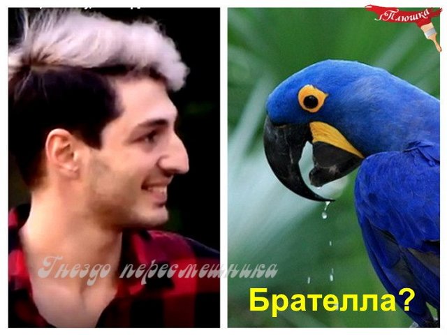 Приколы о Дом-2 (13.05.2018)
