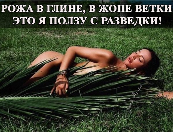 Новые приколы про Дом-2 на 18 мая 2018 года.