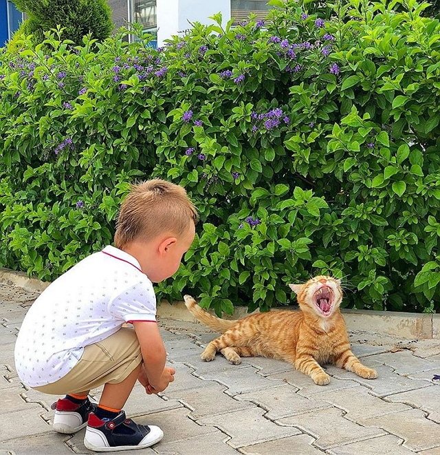 Фотоподборка детей участников (23.05.2018)