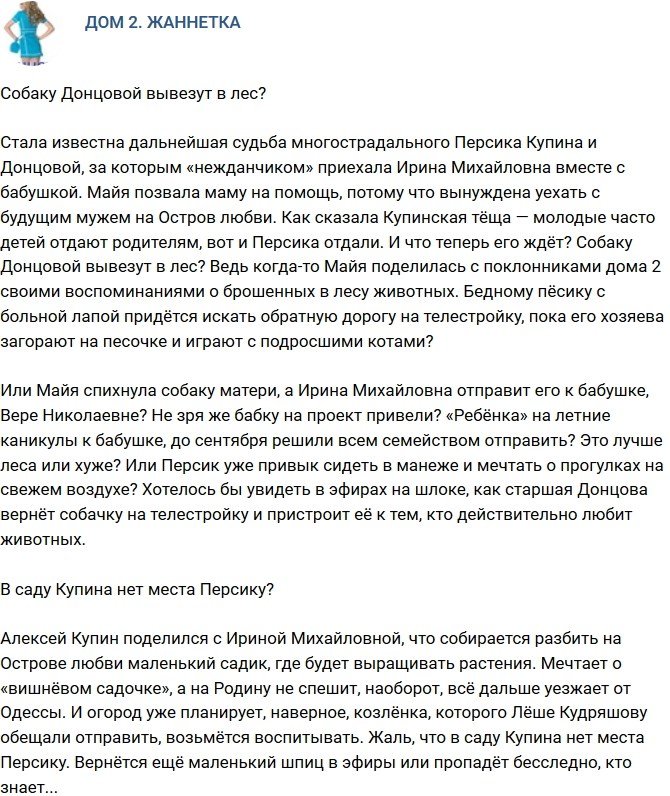 Мнение: Собаку Майи вывезут в лес?