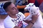 Мнение: Собаку Майи вывезут в лес?