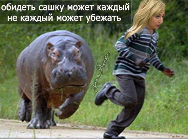 Приколы о Дом-2 (6.06.2018)