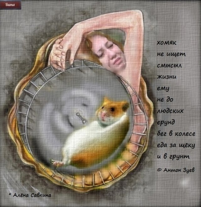 Приколы о Дом-2 (20.07.2018)