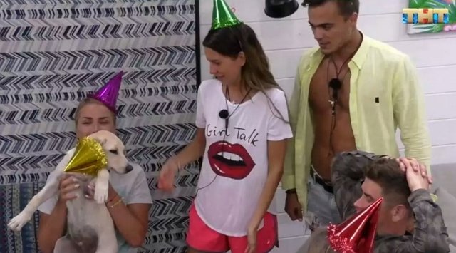 Мнение: Майя издевается над животными телестройки