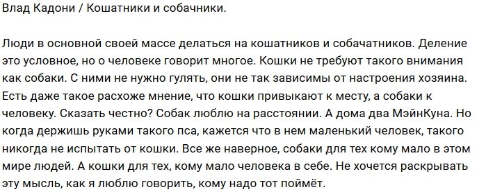 Влад Кадони: Люди делятся на кошатников и собачников