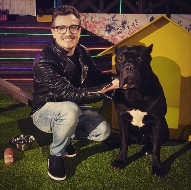 Влад Кадони: Люди делятся на кошатников и собачников