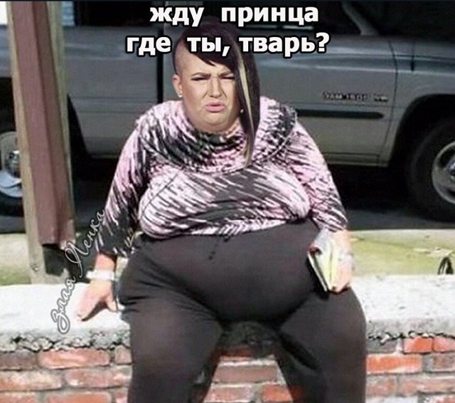 Стихи о Дом-2 на 9.08.2018