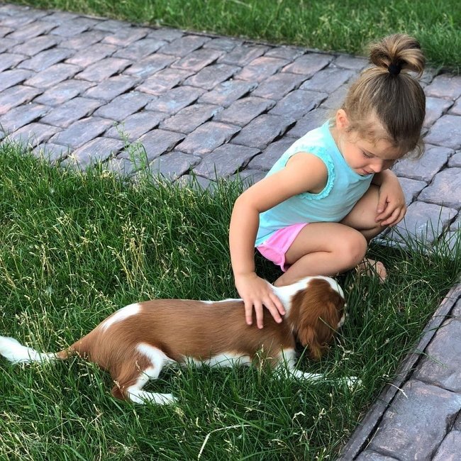 Фотоподборка детей участников (12.08.2018)