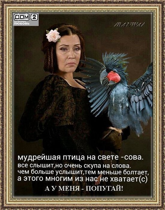Приколы о Дом-2 (22.08.2018)