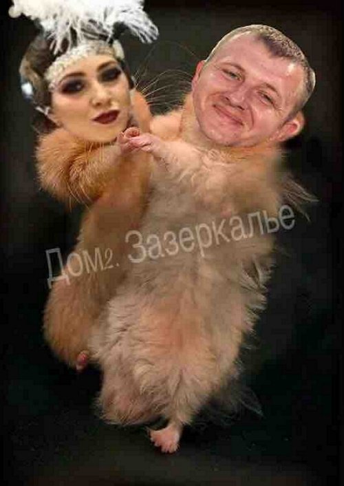 Стихи о Дом-2 на 5.09.2018