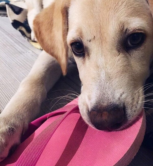 Майя Донцова: Эта ситуация повергла меня в шок!