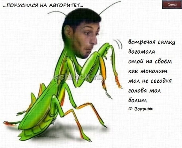 Приколы о Дом-2 (12.09.2018)