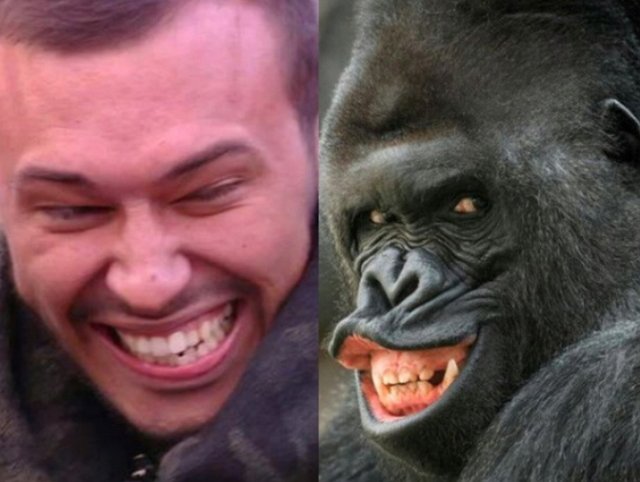 Стихи о Дом-2 на 13.09.2018