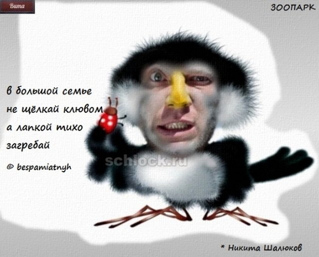 Приколы о Дом-2 (20.09.2018)