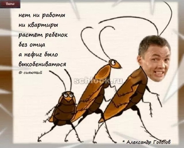 Приколы о Дом-2 (23.09.2018)