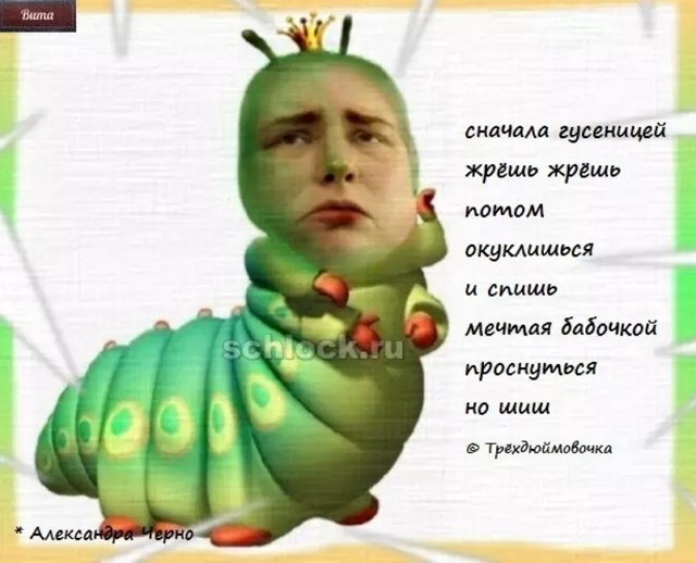 Приколы о Дом-2 (23.09.2018)