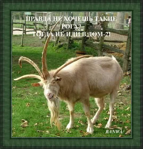 Приколы о Дом-2 (30.09.2018)