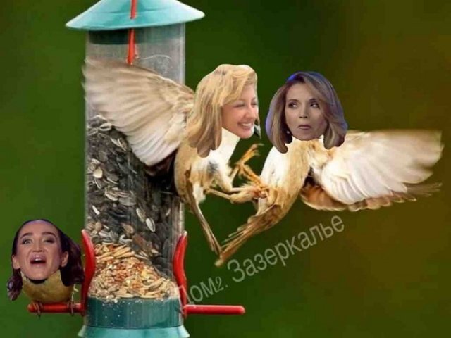 Стихи о Дом-2 на 4.10.2018