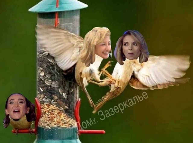 Стихи о Дом-2 на 5.10.2018