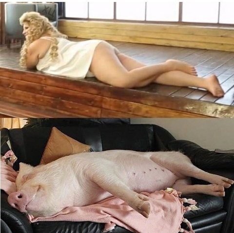 Приколы о Дом-2 (8.10.2018)