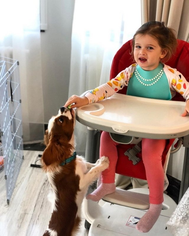 Фотоподборка детей участников (11.10.2018)