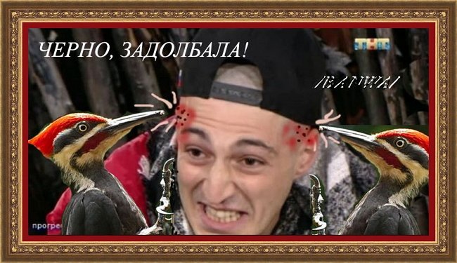 Приколы о Дом-2 (15.10.2018)