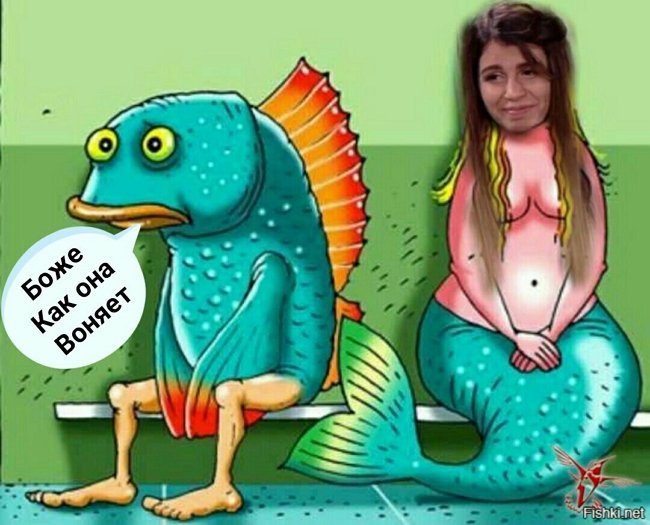 Приколы о Дом-2 (15.10.2018)