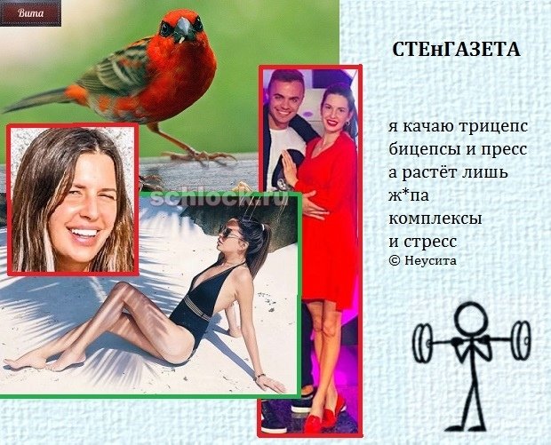 Приколы о Дом-2 (17.10.2018)