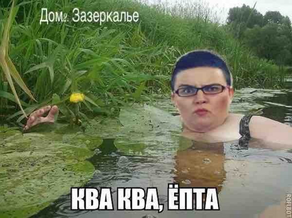 Стихи о Дом-2 на 20.10.2018